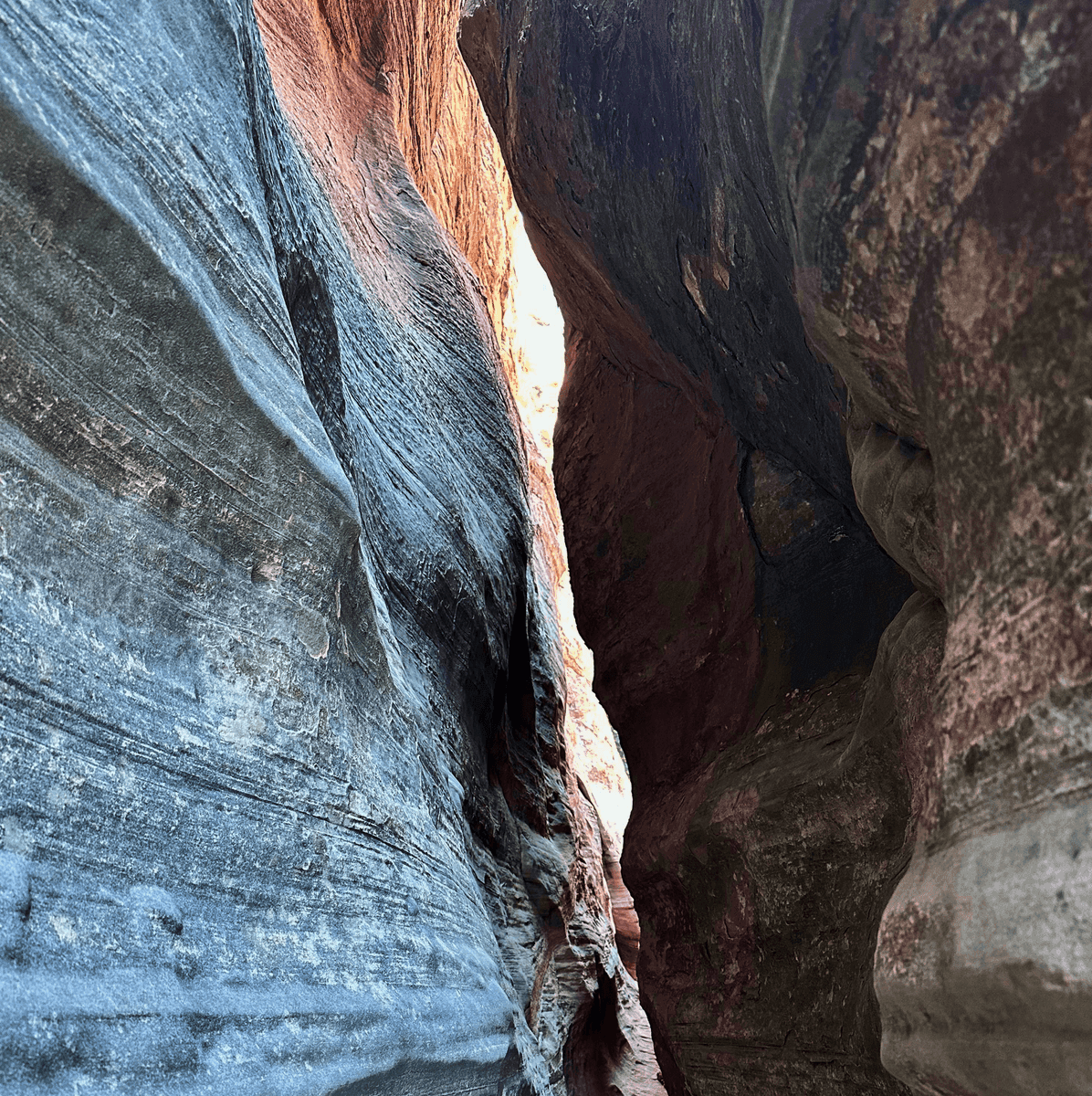 Hiking in Zion